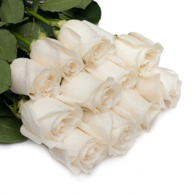 Белые розы Вендела с доставкой