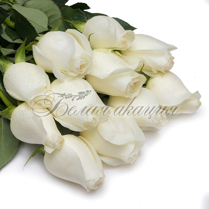 Белые розы с доставкой